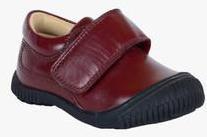 Teddy Toes Maroon Sneakers boys