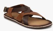 Tortoise Brown Sandals men