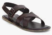 Turtle Brown Sandals men