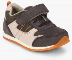 Tuskey Coffee Brown Sneakers boys