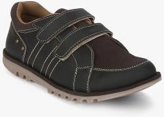 Tuskey Coffee Brown Velcro Sneakers Shoe boys