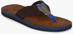 U S Polo Assn Brown Comfort Sandals men