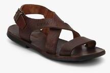 U S Polo Assn Brown Sandals men