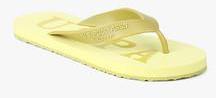 U S Polo Assn Henry Yellow Flip Flops men