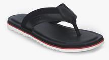 U S Polo Assn Murray Black Slippers men