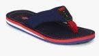 U S Polo Assn Navy Blue Solid Thong Flip Flops Men