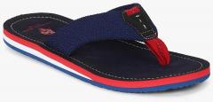 U S Polo Assn Navy Blue Solid Thong Flip Flops men