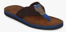 U S Polo Assn Weber Brown Slippers men