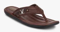 Valentino Brown Slippers men