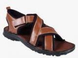 Ventoland Tan Sandals Men