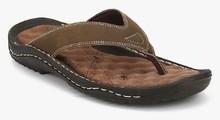 Weinbrenner Walk Brown Slippers men