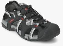 Wildcraft Terrafin Black Floaters men