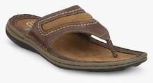 Woodland Brown Slippers men