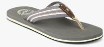 Woodland Grey Slippers men