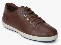 Woods Brown Casual Sneakers women