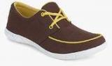 Z Collection Brown Lifestyle Shoes Men