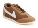 Z Collection Tan Sneakers Boys