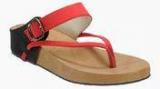 Zachho Red Sandals Women