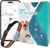 Acumen Track Smart Belt Pet Tracker Location Smart Tracker