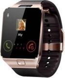 Berrin Dz09 Gold 6 Phone Gold Smartwatch