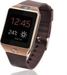 Benison India 3G In Built Camera & Mobile Memory card Supported DZ 09 Gold Multicolor Smartwatch