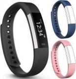 Fbandz Altum 2Strap Fitness Smart Band