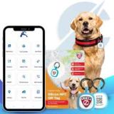 Zimaxx Pet | 24/7 Safety Pet Tracker For Dogs Location Smart Tracker