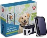 Zimaxx Secure Your Pet With Our Blue Collar GPS Tracker With Real Time Tracking And PVC NFC QR Tag & 1 Year Sim Card Safety Smart Tracker