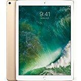 Apple 12.9 Inch IPad Pro Wi Fi 64GB Gold