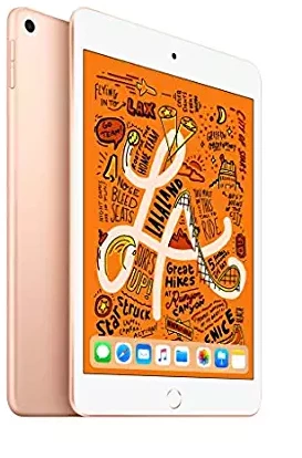 iPad Mini Wi Fi 256GB Gold