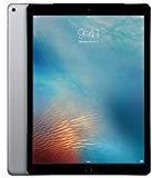 Apple IPad Pro 12.9 Inch Wi Fi 256GB Space Gray