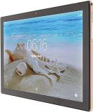 DAUF WiFi Tablet, 2.4G 5G Dual Band HD IPS Screen 10 Inch Dual SIM Tablet 100 240V 128GB Octa Core Expandable For Work Gold