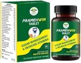 HARIOM PHARMACY AYURVEDIC PRAMEHWIN TABLET FOR DIABETIC CARE PACK OF 60 TABLET