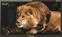 Rayshre 31.5 inch (80.1 cm) REPL32LEDFHDSM4 Full HD LED TV