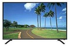 Orientel 22 inch (55 cm) OR22OR01 Normal HD Led TV