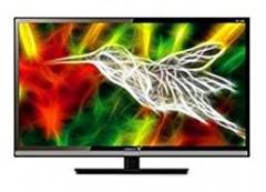 Videocon 32 inch (81.3 cm) 3207 HD Ready LED TV