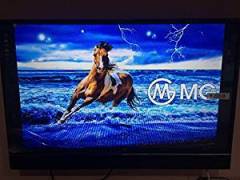 Mg 32 inch (81 cm) TV