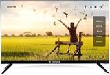 Candes 32 inch (81 cm) Ready CTPL32EFN (Black) 2021 Edition Full HD LED TV