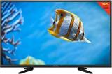 Daewoo 50 inch (127 cm) Smart Android 4K LED TV