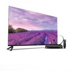 Dishtv Entertainment Combo Sansui 43 (Google OS) + Set Top Box | 12 Months Royale Sports Kids Pack + 1 Year Watcho Max Premium OTT (Bengali Pack) Smart Full HD HD HD TV