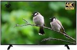 Fox Trot 43 Inch (108 Cm) | (Black) Android Smart 4K Ultra HD LED TV