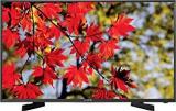 Lloyd 50 Inch (127 Cm) L50FN2 (Black) Full HD LED TV