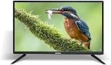 Samtonic 24 Inch (61 Cm) I | Powerful Audio Box Speakers | HDMI & USB Ports (2023 Model), Black HD Ready LED TV