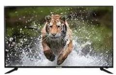 80 32 inch (81 cm) cm IPS HD Ready LED TV