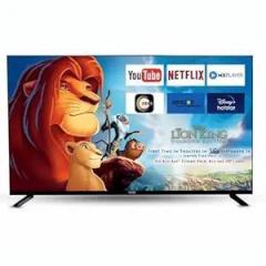 Napolean 43 inch (109 cm) HEAVY DUTY (NAP43SMQ) | (3840x2160) with Quantum HDR, Adaptive Sound, Bluetooth Audio | Ultimate Home Theatre Experience Smart 4K UHD QLED TV