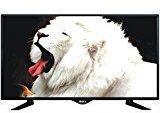 Zintex 24 Inch (60 Cm) ZN24N HD Ready LED TV