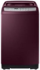 Samsung 6.5 kg WA65M4500HP/TL Fully Automatic Top Load Washing Machine (Maroon)