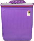 Lloyd 8 kg GLWMS80ARUEL Semi Automatic Top Load (Purple)