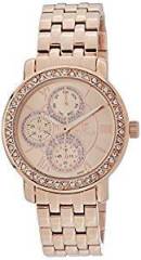 Titan Purple Glam Gold Analog Pink Dial Women's Watch 9743WM01J