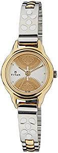 Titan Analog Silver Dial Women's Watch 2401BM01